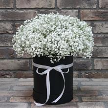 Цветочная композиция из Гипсофила в шляпной коробке #REPLACE_PRED# Александровке